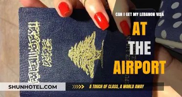 Lebanon Visa: Airport Availability?