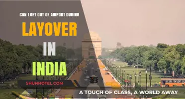 Exploring India During a Layover: What Are Your Options?