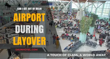 Exploring Delhi During a Layover: Is It Possible?