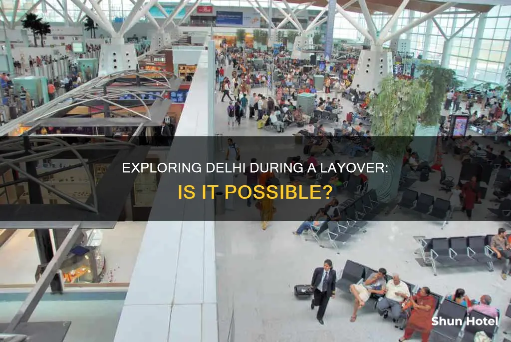 can i get out of delhi airport during layover