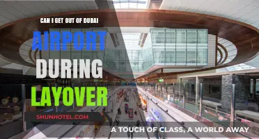 Exploring Dubai During a Layover: Can You Leave the Airport?