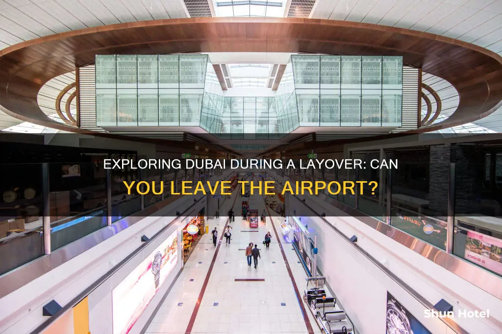 can i get out of dubai airport during layover