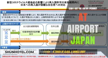 Re-entry Permit: Obtain at Japanese Airports?