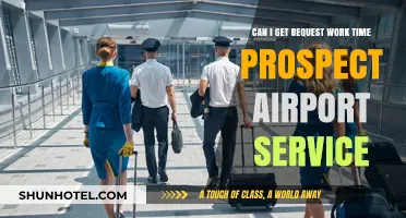 Requesting Work Time: Prospect Airport Service Availability