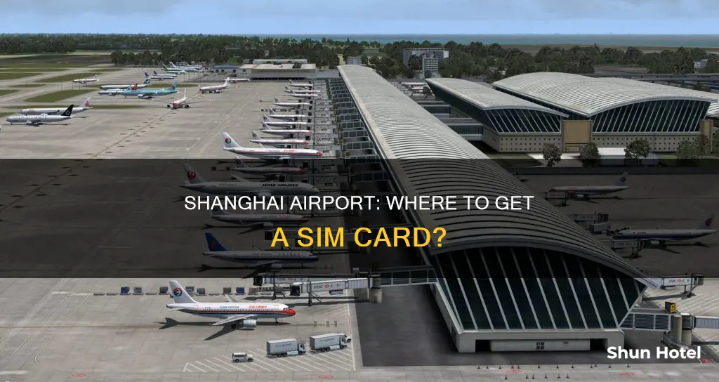 can i get sim card at shanghai airport