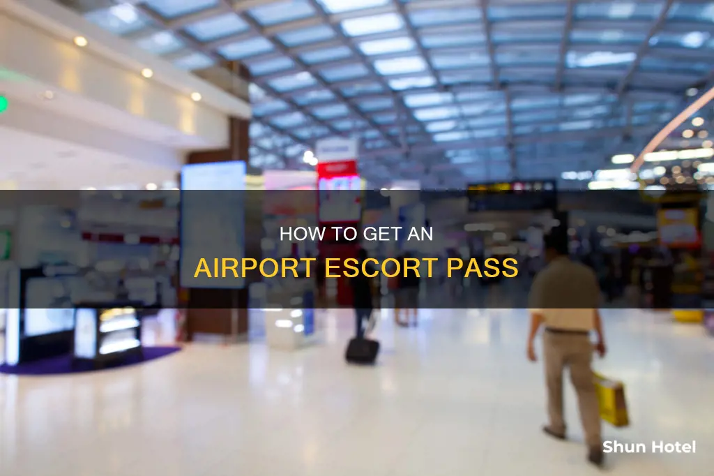 can i get special pass to escort person at airport