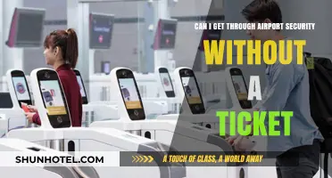 How to Navigate Airport Security Without a Ticket