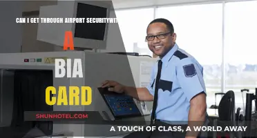 Airport Security: Biometric ID Card Access