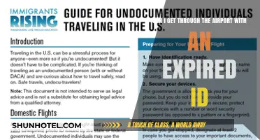 Traveling with an Expired ID: Getting Through Airport Security