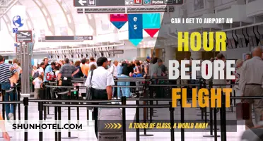 Last-Minute Rush: Airport Arrival Before Flight Takeoff
