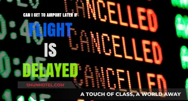 Airport Arrival: Delayed Flight, Delayed Check-In?