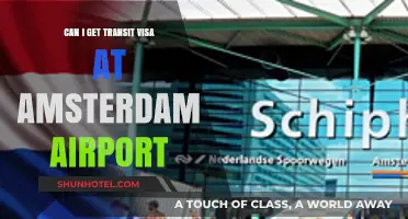 Amsterdam Airport Transit Visa: Can I Get One?
