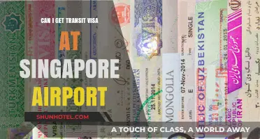 Singapore Airport Transit Visa: How to Get One?