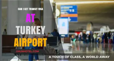 Transit Visa at Turkish Airports: How to Get One?