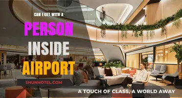 Exploring Airport Meet-and-Greets: Can You Enter?
