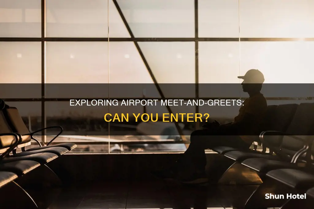 can i get with a person inside airport