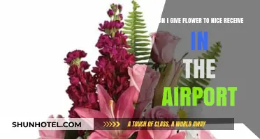 A Warm Welcome: Flowers for Airport Greeting
