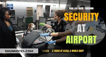 Navigating Airport Security: Can I Re-enter?