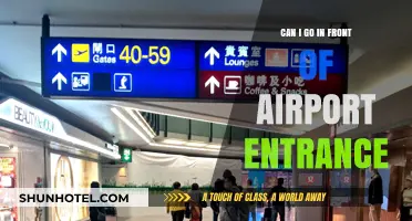 Exploring the Airport Entrance: Who Can Go In?