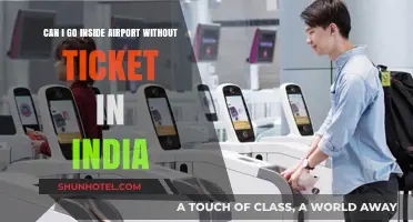 Exploring Indian Airports: Ticketless Access