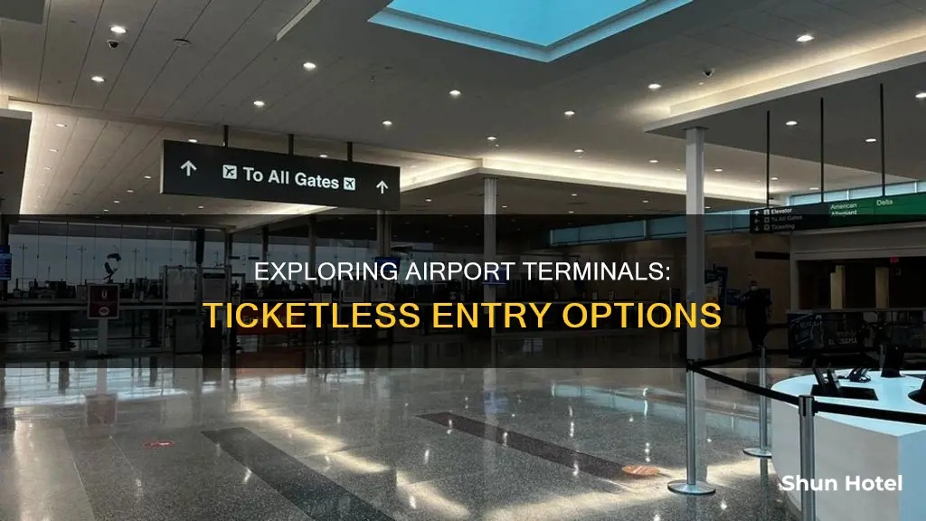 can i go inside airport without ticket to meet someone