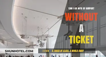 Exploring San Francisco Airport Without a Ticket
