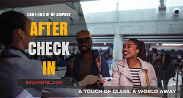 Exploring Options: Leaving Airports Post Check-In