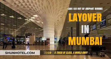 Exploring Mumbai During a Layover: What You Need to Know