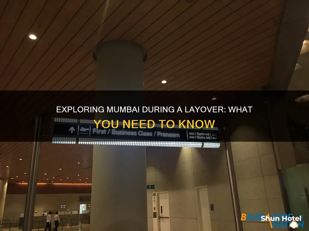 can i go out of airport during layover in mumbai