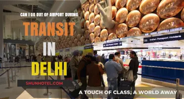 Exploring Delhi During Transit: Is It Possible?