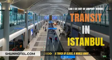 Istanbul Airport Transit: Can I Leave?