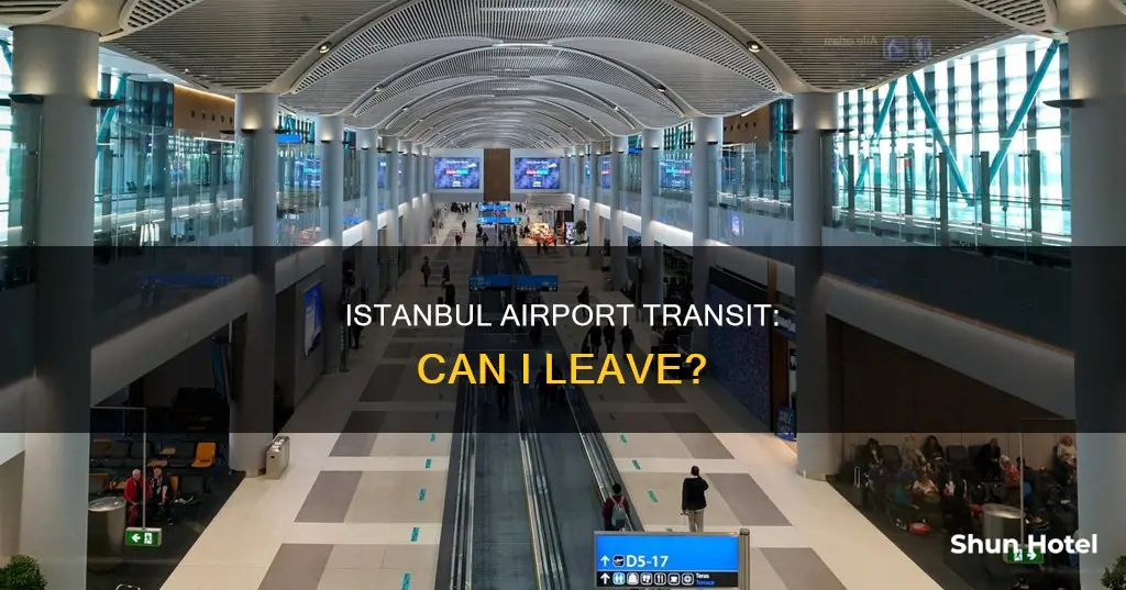 can i go out of airport during transit in istanbul