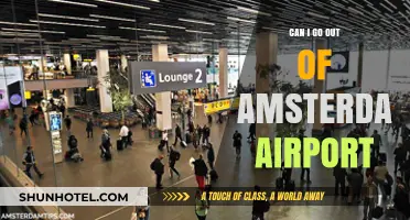 Exploring Amsterdam: Can You Leave the Airport?