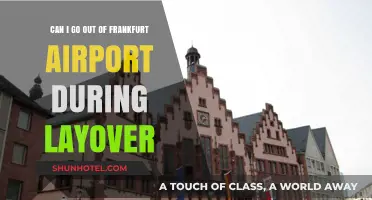 Exploring Frankfurt During a Layover: Can You Leave the Airport?