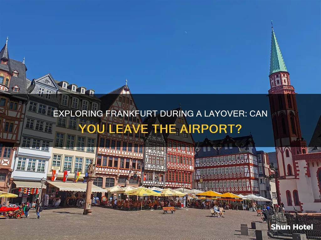 can i go out of frankfurt airport during layover