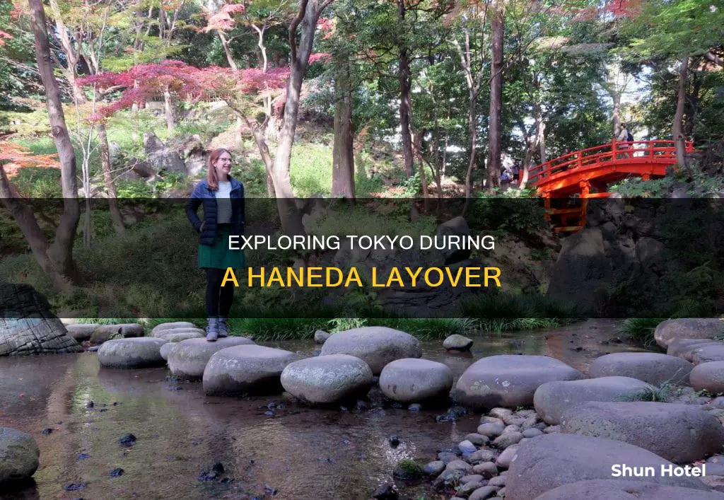 can i go out of haneda airport during layover