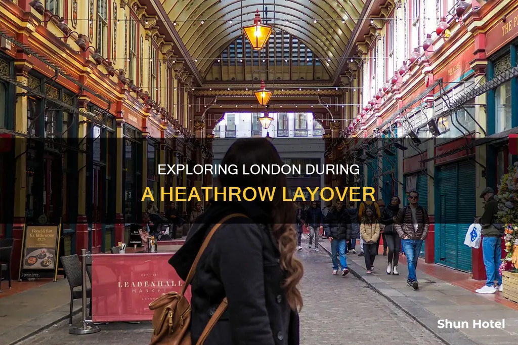 can i go out of heathrow airport during layover