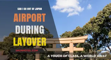 Exploring Japan During a Layover: Is It Possible?