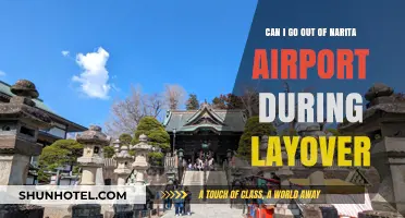 Exploring Narita Airport: Can I Leave During a Layover?