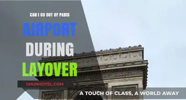 Exploring Paris on a Layover: Is It Possible?