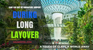 Exploring Singapore During a Long Layover