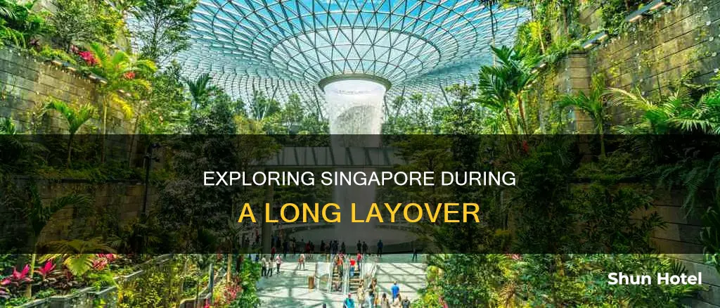 can i go out of singapore airport during long layover