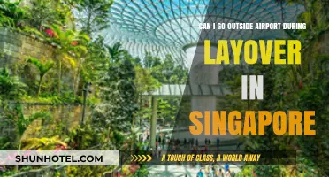 Exploring Singapore During a Layover: Can I Leave the Airport?