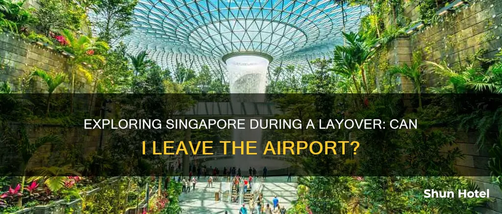 can i go outside airport during layover in singapore