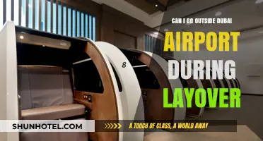 Exploring Dubai During a Layover: What Are Your Options?