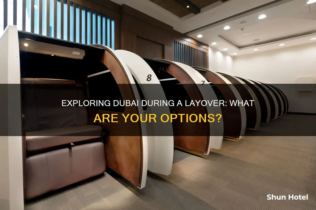 can i go outside dubai airport during layover