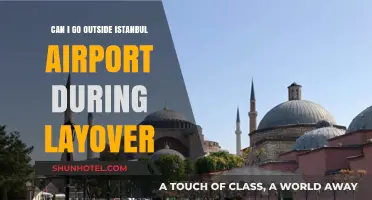 Exploring Istanbul During a Layover: Can You Go Outside?