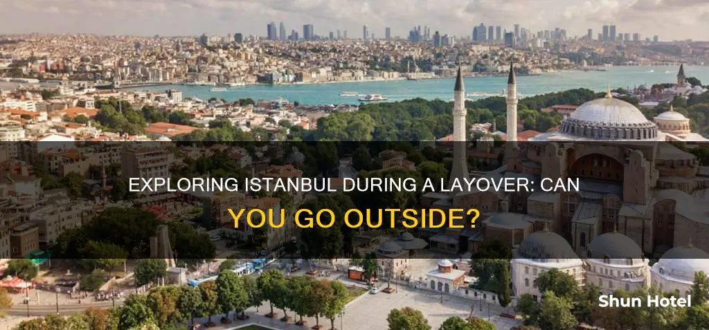 can i go outside istanbul airport during layover