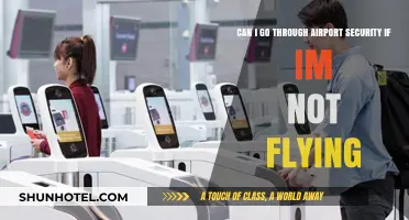 Explore the Airport Without Flying: Security Clearance?