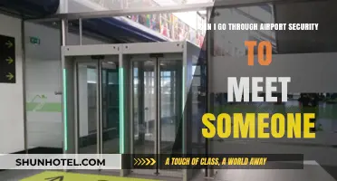 How to Meet Your Loved Ones at the Airport Gate